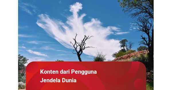 Makan Siang yang Menghangatkan di Jantung Adipala